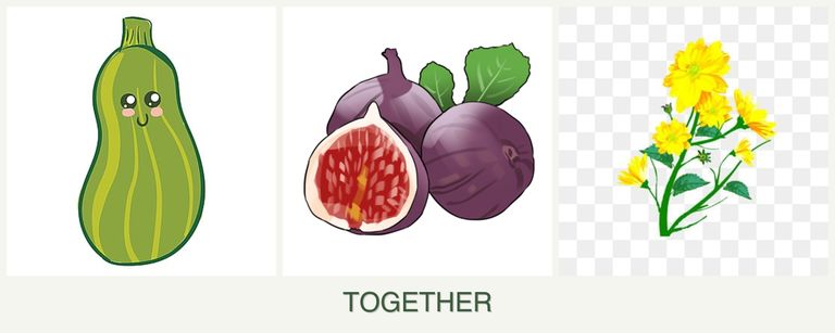 Can you plant zucchini, figs and calendula together?