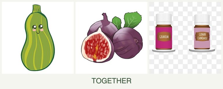 Can you plant zucchini, figs and geraniums together?