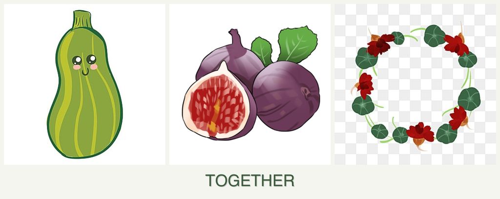 Can you plant zucchini, figs and nasturtiums together?