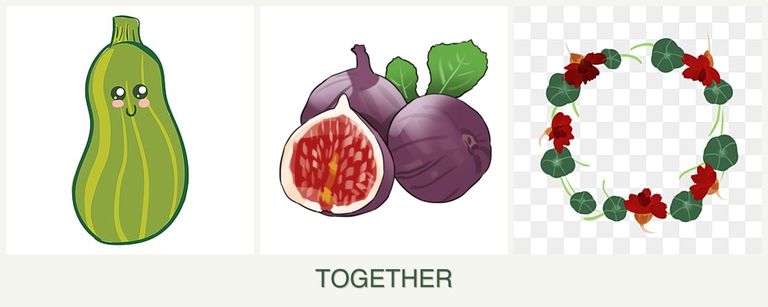 Can you plant zucchini, figs and nasturtiums together?
