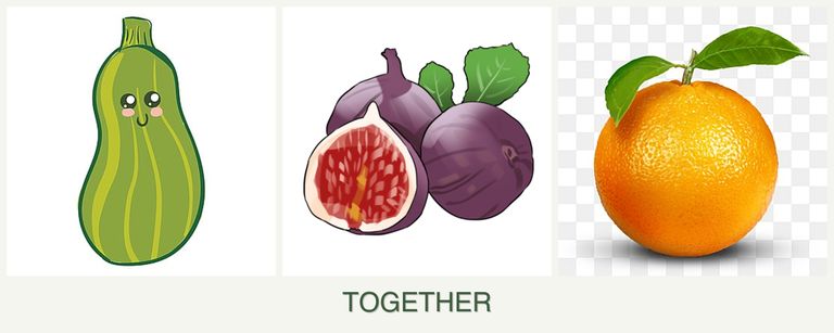 Can you plant zucchini, figs and oranges together?