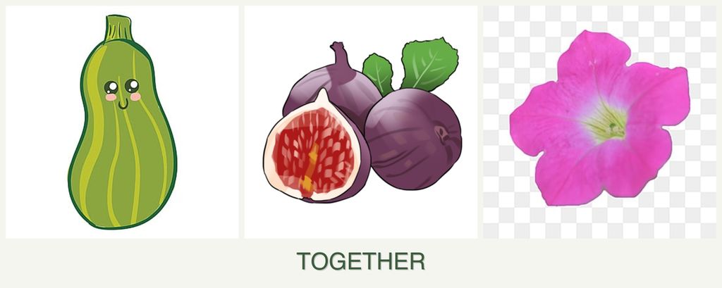 Can you plant zucchini, figs and petunias together?