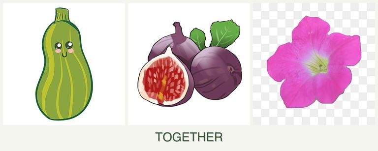 Can you plant zucchini, figs and petunias together?