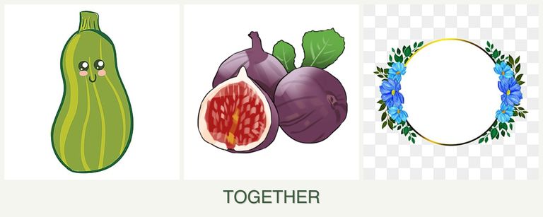 Can you plant zucchini, figs and zinnias together?