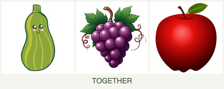 Can you plant zucchini, grapes and apples together?