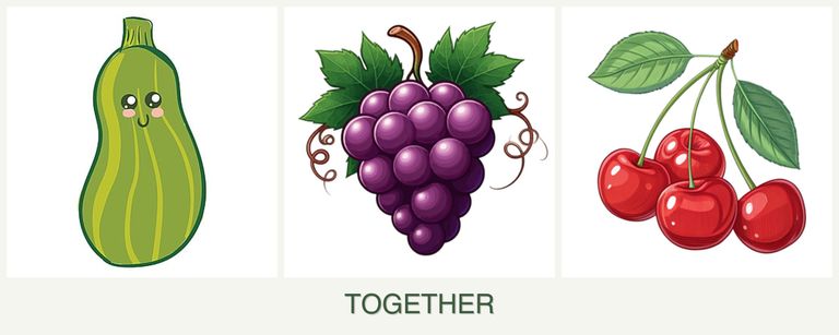 Can you plant zucchini, grapes and cherries together?
