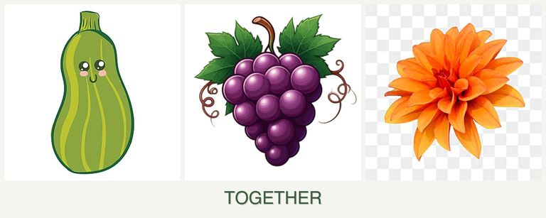 Can you plant zucchini, grapes and dahlias together?
