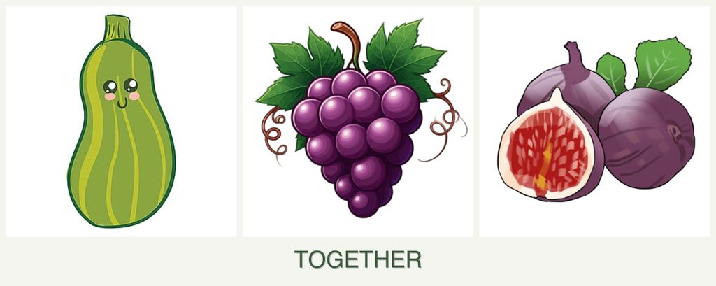 Can you plant zucchini, grapes and figs together?