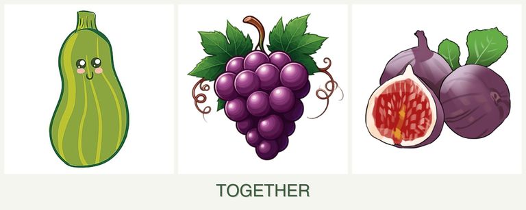 Can you plant zucchini, grapes and figs together?