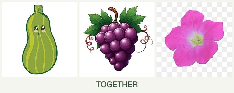 Can you plant zucchini, grapes and petunias together?