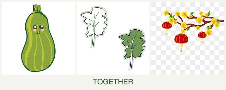 Can you plant zucchini, kale and apricots together?