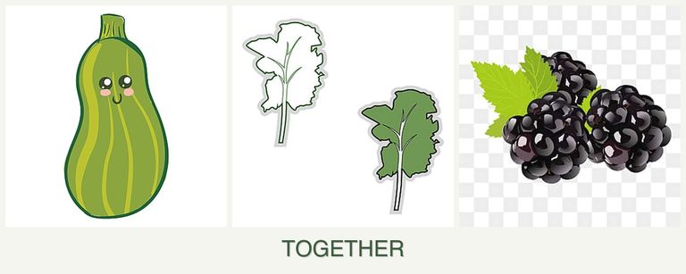 Can you plant zucchini, kale and blackberries together?