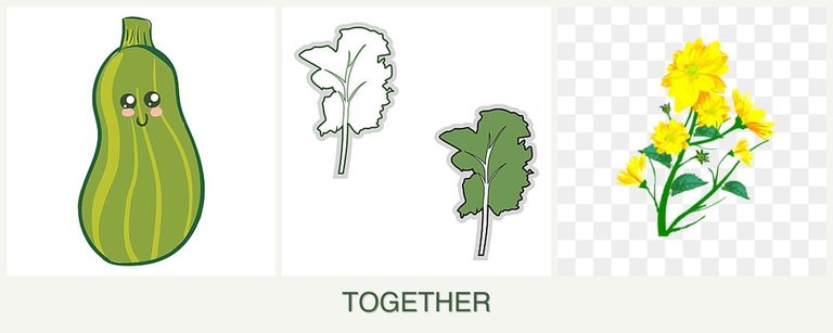 Can you plant zucchini, kale and calendula together?