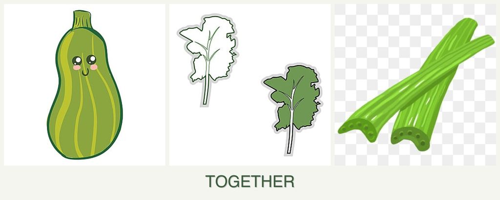 Can you plant zucchini, kale and celery together?