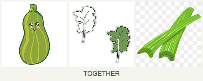 Can you plant zucchini, kale and celery together?
