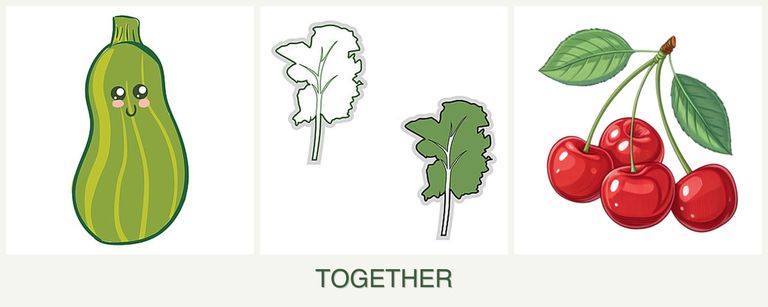 Can you plant zucchini, kale and cherries together?