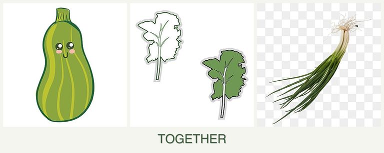 Can you plant zucchini, kale and chives together?