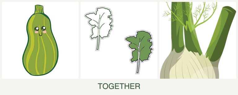 Can you plant zucchini, kale and fennel together?