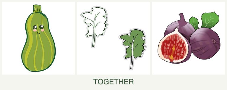 Can you plant zucchini, kale and figs together?