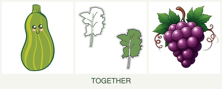 Can you plant zucchini, kale and grapes together?