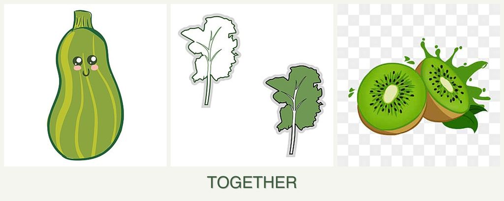 Can you plant zucchini, kale and kiwi together?