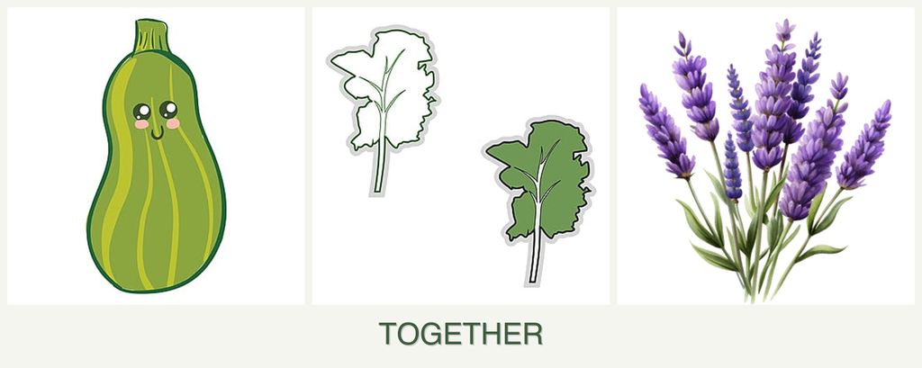Can you plant zucchini, kale and lavender together?