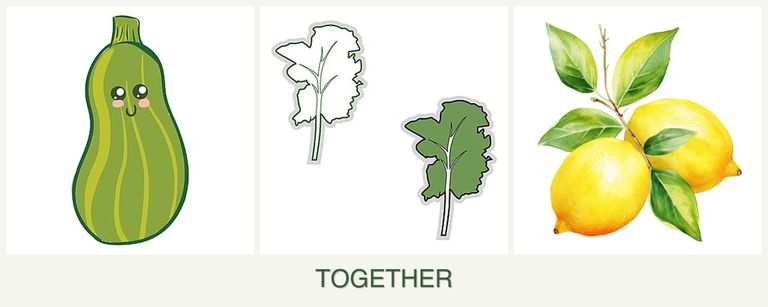 Can you plant zucchini, kale and lemons together?