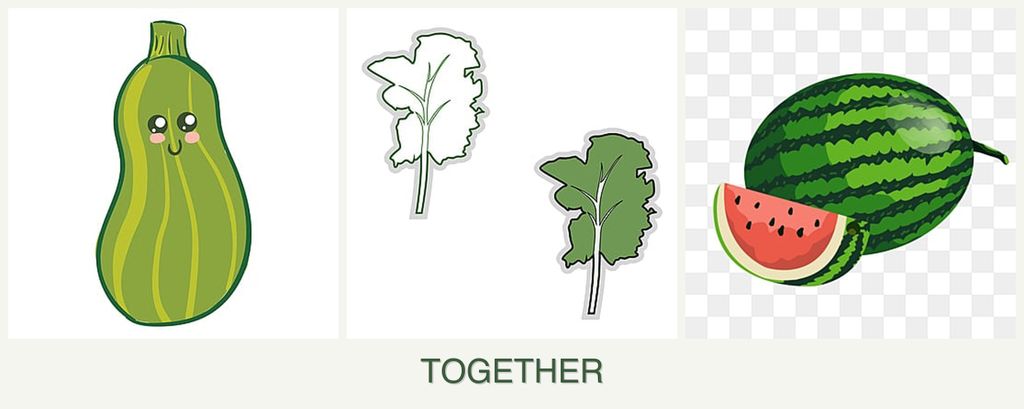 Can you plant zucchini, kale and melons together?
