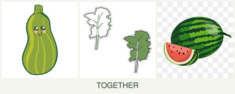 Can you plant zucchini, kale and melons together?