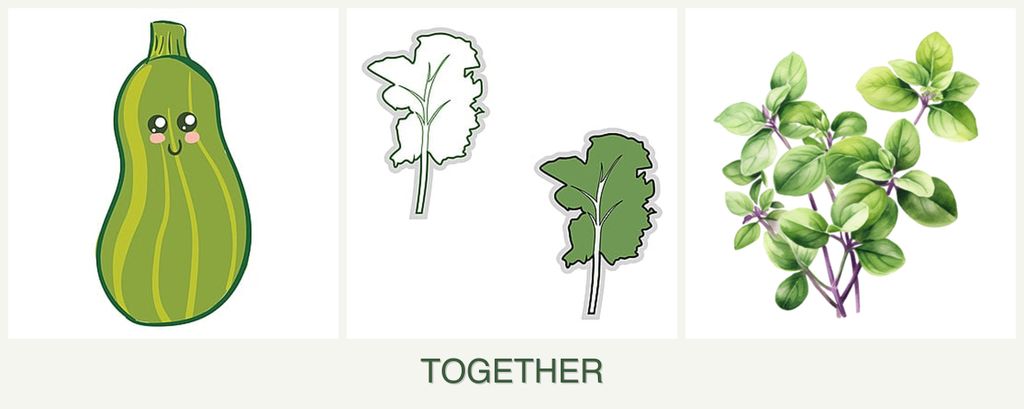 Can you plant zucchini, kale and oregano together?