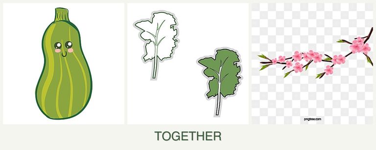 Can you plant zucchini, kale and peaches together?