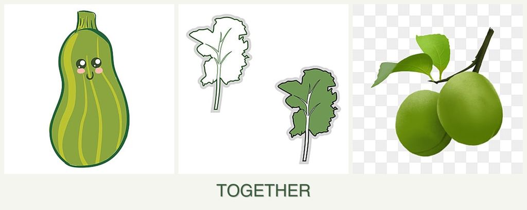 Can you plant zucchini, kale and plums together?