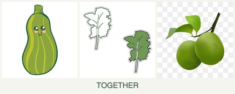 Can you plant zucchini, kale and plums together?