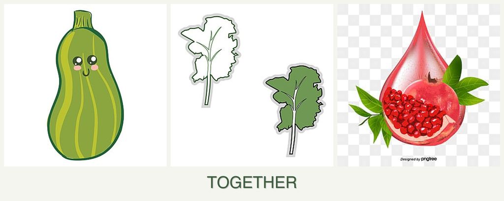 Can you plant zucchini, kale and pomegranates together?