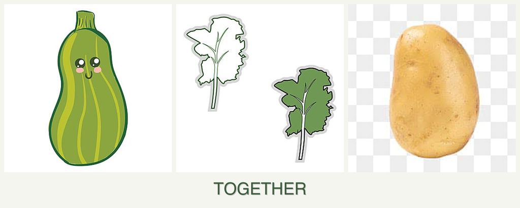 Can you plant zucchini, kale and potatoes together?