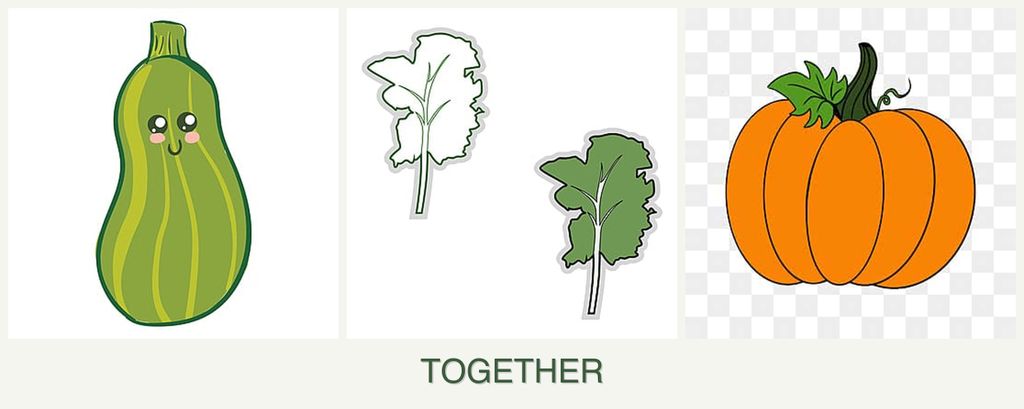 Can you plant zucchini, kale and pumpkin together?