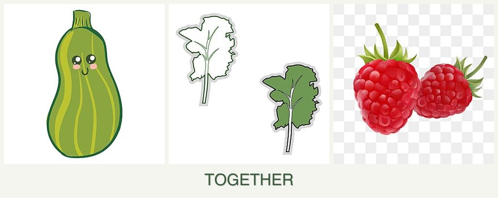 Can you plant zucchini, kale and raspberries together?