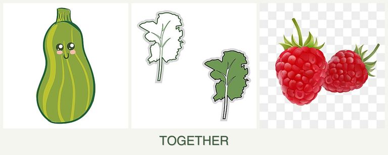 Can you plant zucchini, kale and raspberries together?