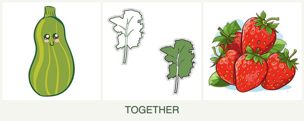 Can you plant zucchini, kale and strawberries together?