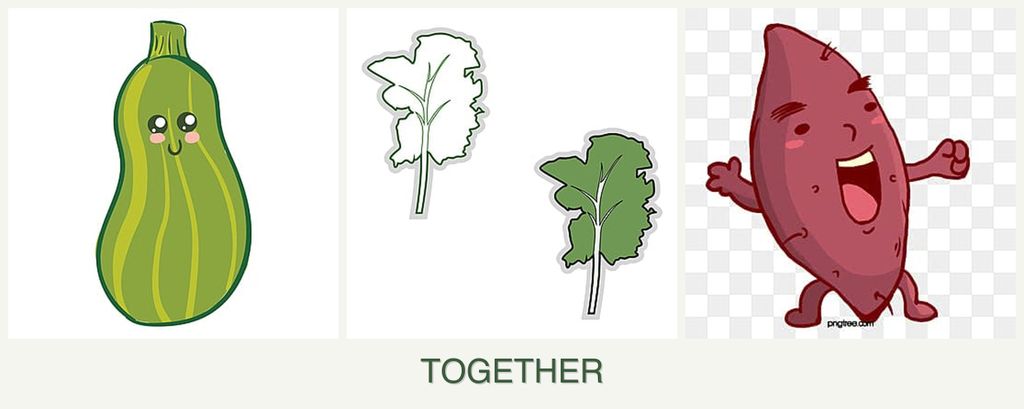 Can you plant zucchini, kale and sweet potatoes together?