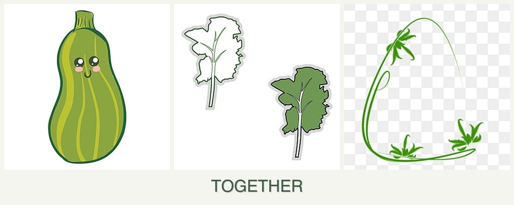 Can you plant zucchini, kale and tarragon together?