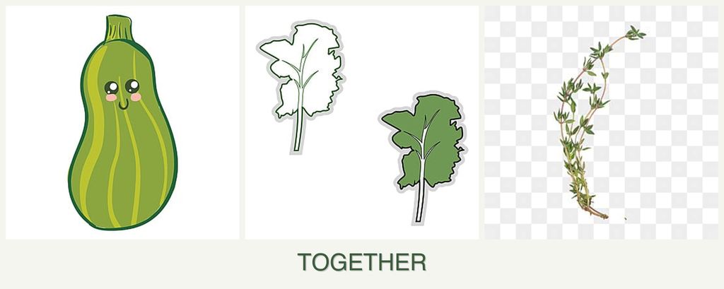Can you plant zucchini, kale and thyme together?