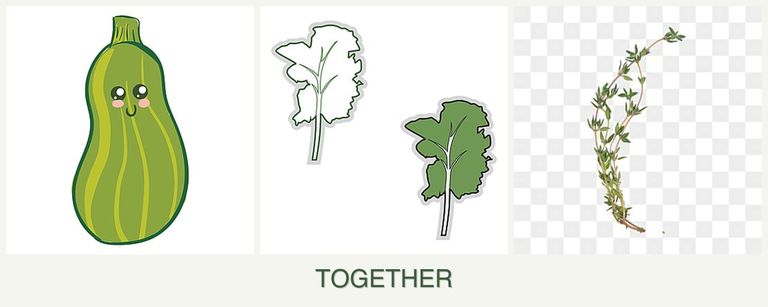 Can you plant zucchini, kale and thyme together?