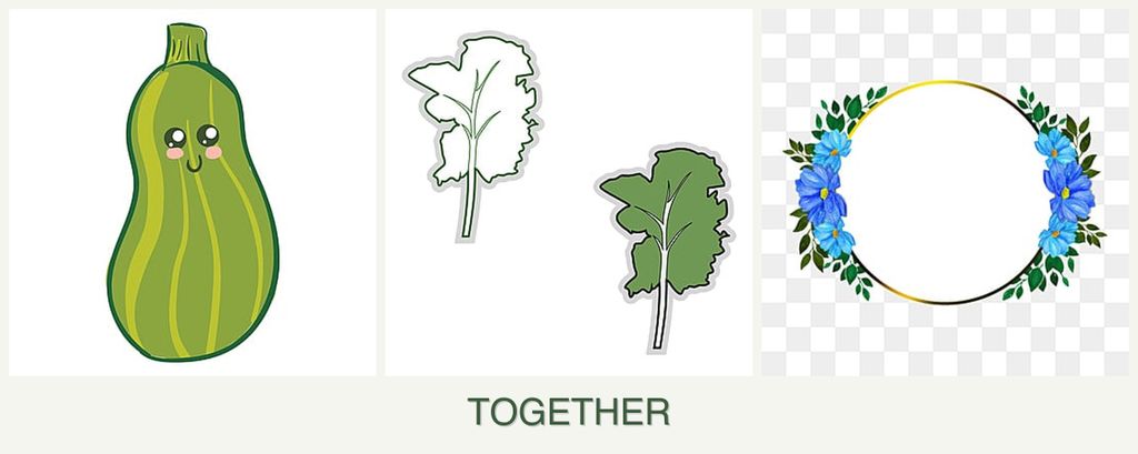 Can you plant zucchini, kale and zinnias together?