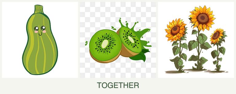 Can you plant zucchini, kiwi and sunflowers together?