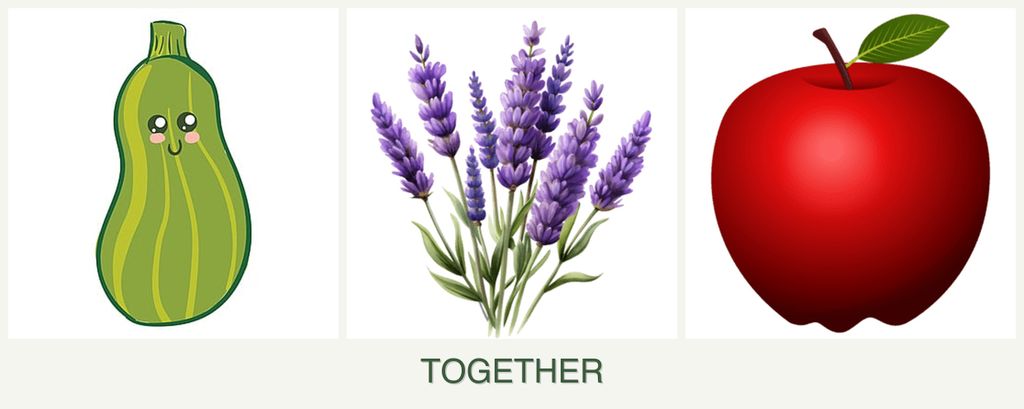 Can you plant zucchini, lavender and apples together?