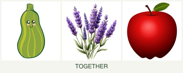 Can you plant zucchini, lavender and apples together?