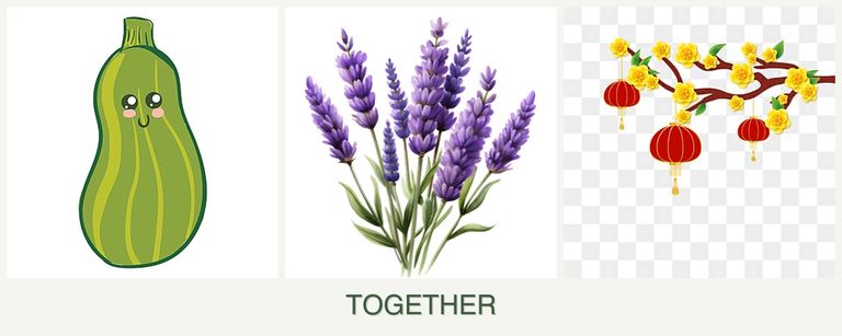 Can you plant zucchini, lavender and apricots together?
