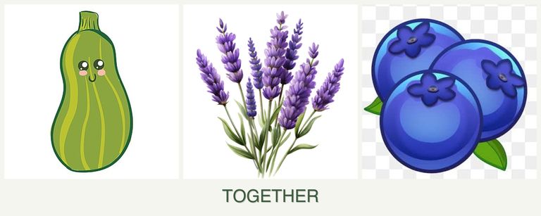 Can you plant zucchini, lavender and blueberries together?
