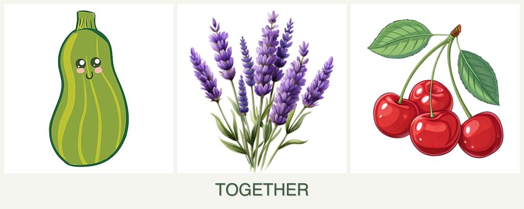 Can you plant zucchini, lavender and cherries together?